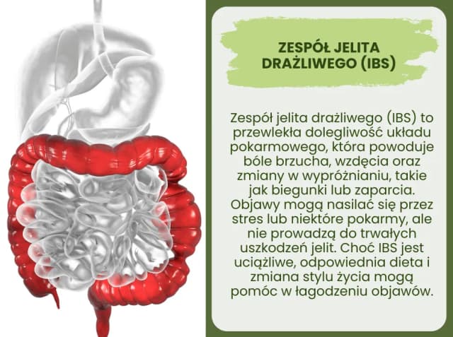 Jakie leki na jelito drażliwe pomogą złagodzić Twoje objawy?
