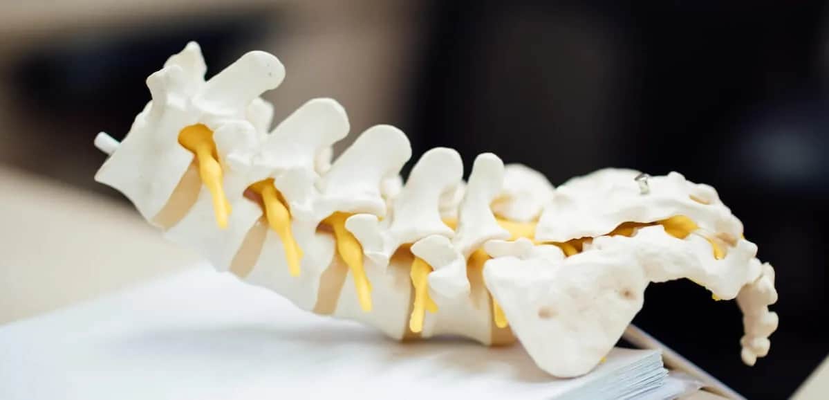 Jak wygląda rehabilitacja kręgosłupa i co warto o niej wiedzieć?