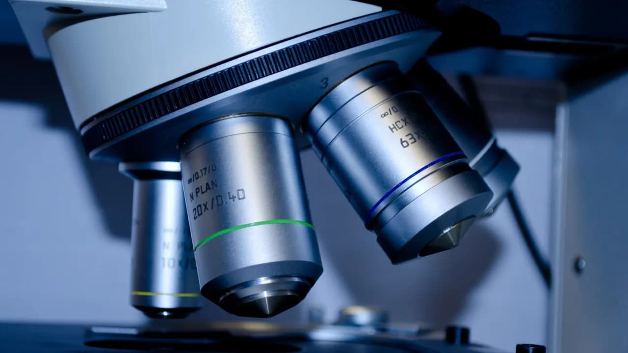 Co po analityce medycznej? Odkryj najlepsze ścieżki kariery